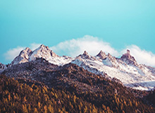 《障目 / Cling to Blindness》现已发售！