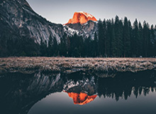 《障目 / Cling to Blindness》现已发售!